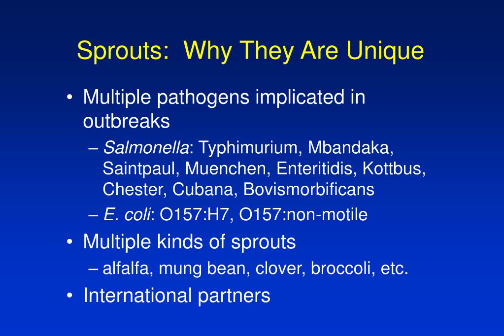 PPT Foodborne Illness Outbreaks and Sprouts PowerPoint Presentation