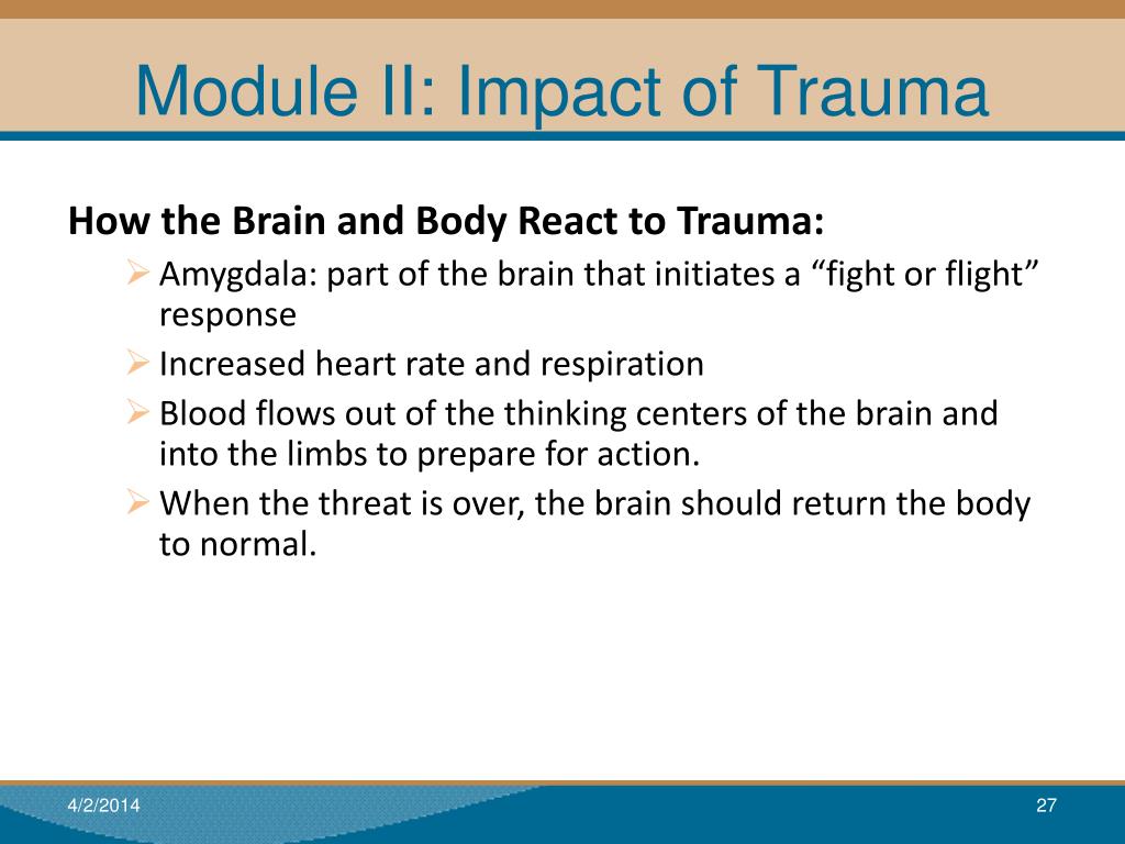 trauma responses trauma responses