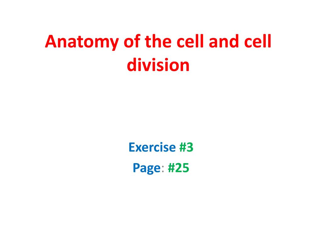 an introduction to cell division an introduction to cell division