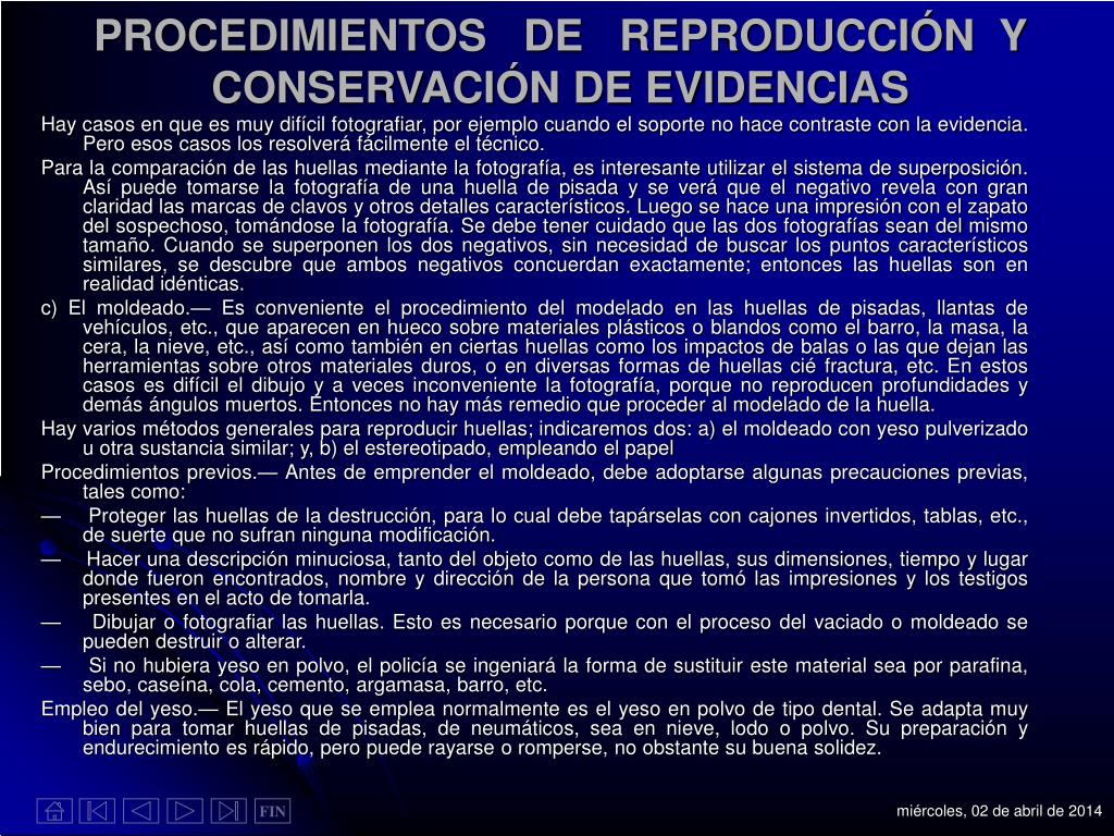 puma moño atras