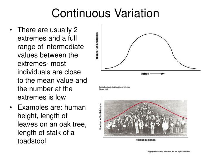 PPT - Evolution PowerPoint Presentation - ID:669335