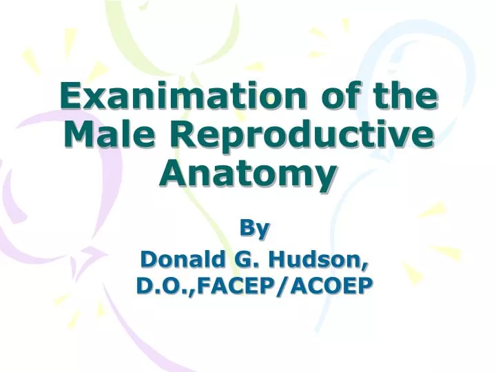 exanimation of the male reproductive anatomy n.