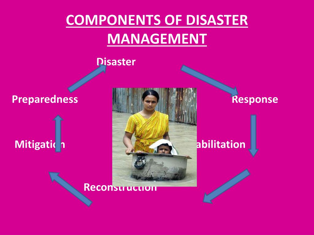 PPT ROLE OF COMMUNITY MENTAL HEALTH NURSE IN DISASTER MANAGEMENT 