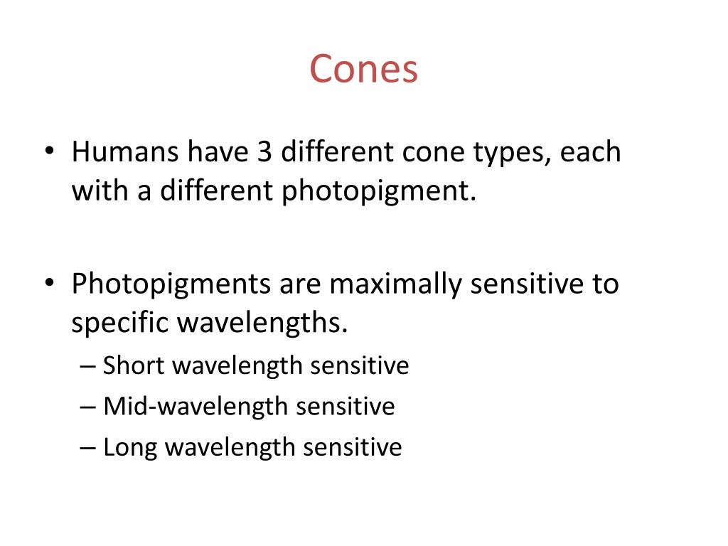 PPT Psychology 4051 PowerPoint Presentation, free download ID670637