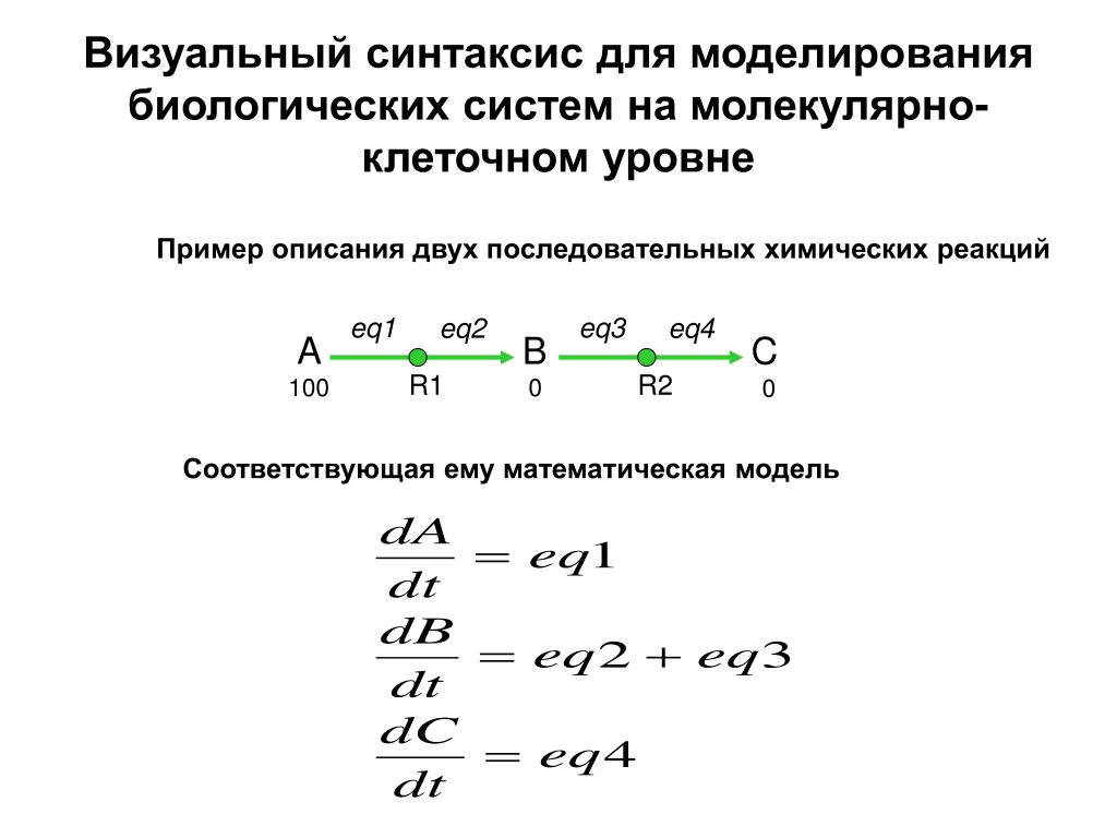 Математическое моделирование биологических