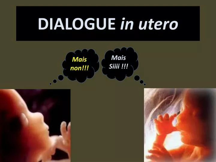 dialogue in utero n.