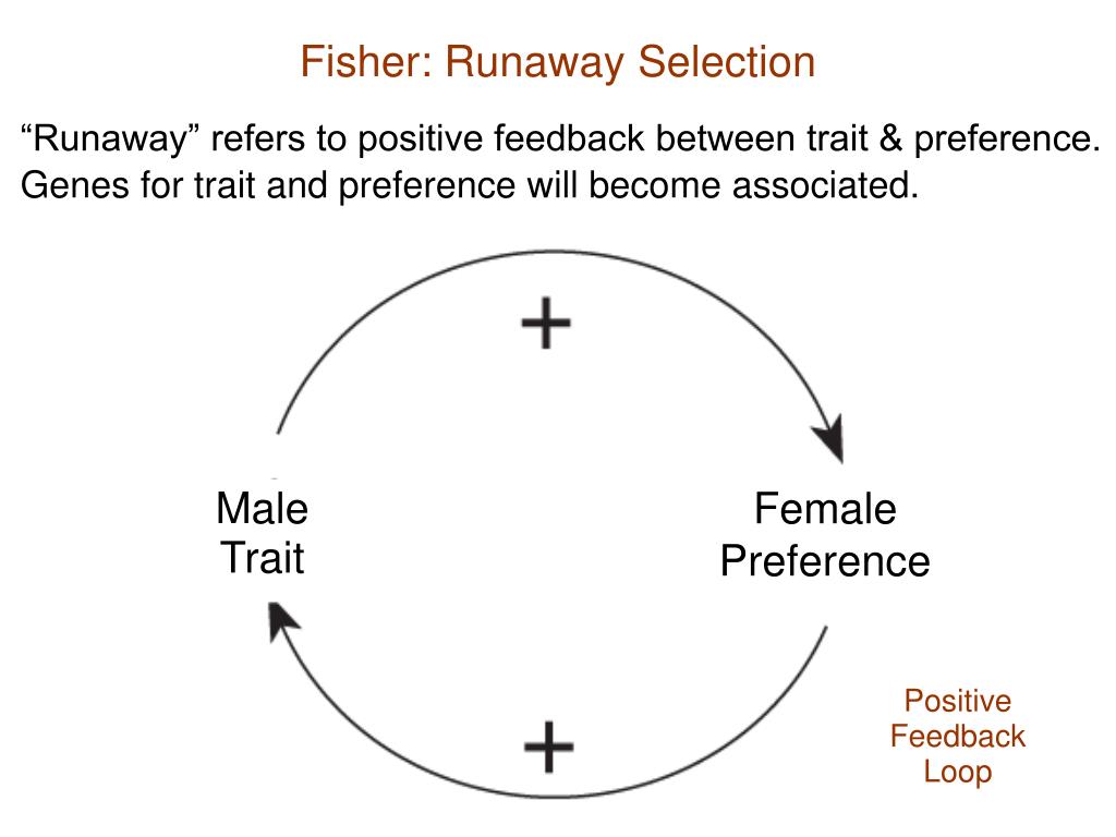 PPT Natural Selection Survival Mating Success Parental Care 