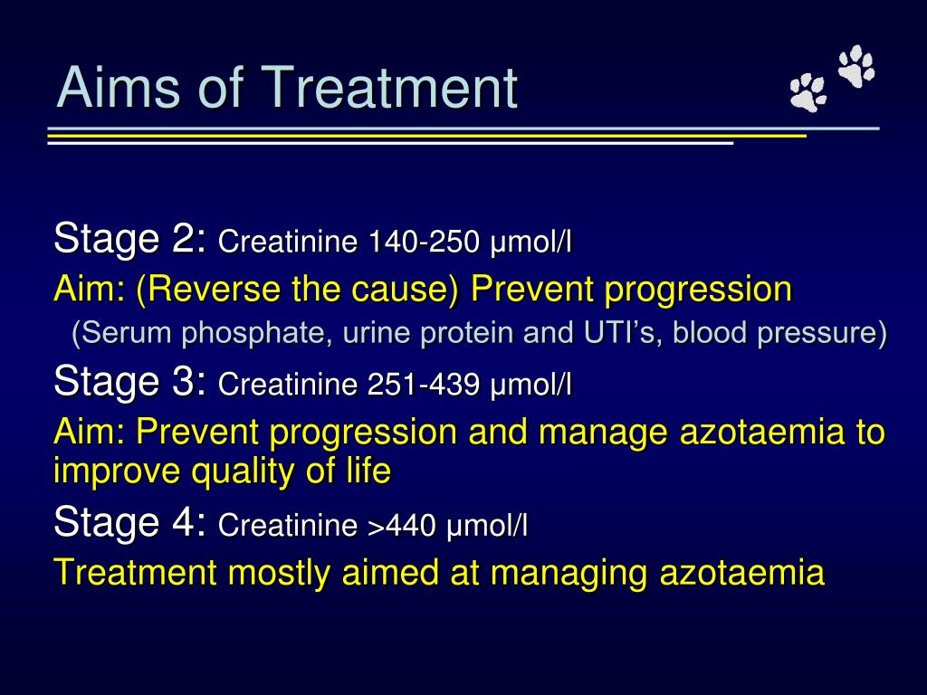 PPT - Chronic Renal Failure in Cats: Can we Halt the ...