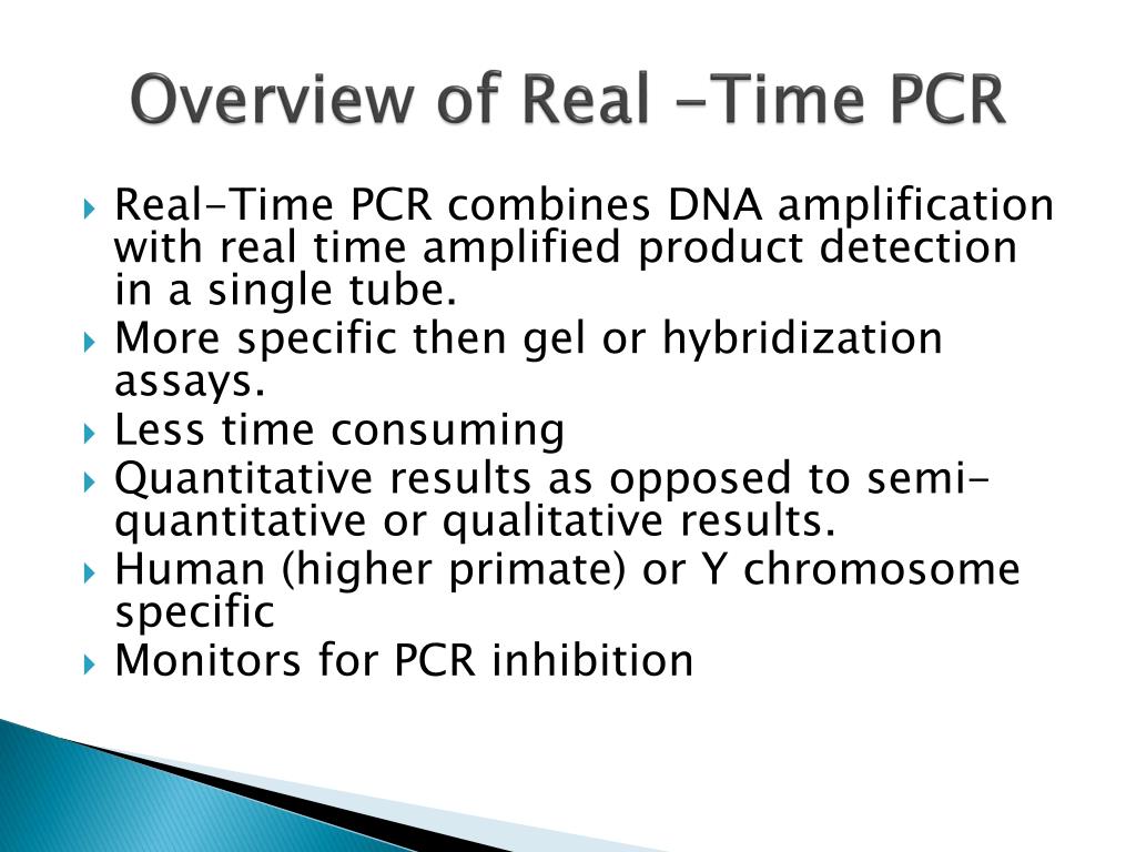 real time pcr presentation