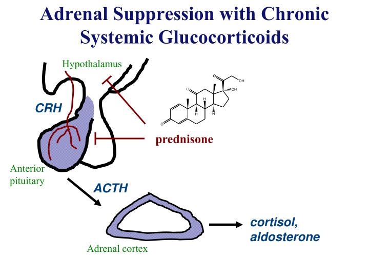 adrenaline suppression adrenaline suppression