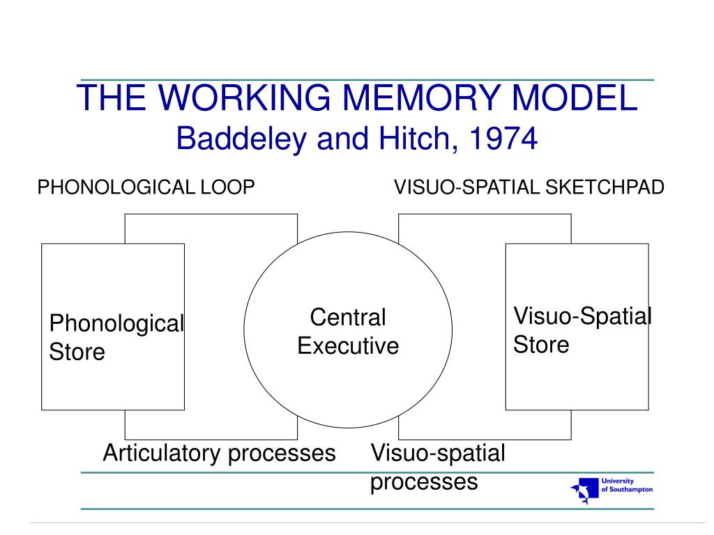 Бэддели ваша память. Модель рабочей памяти Баддели. Baddeley working Memory. Working Memory model. Модель Бэддели Хитча.