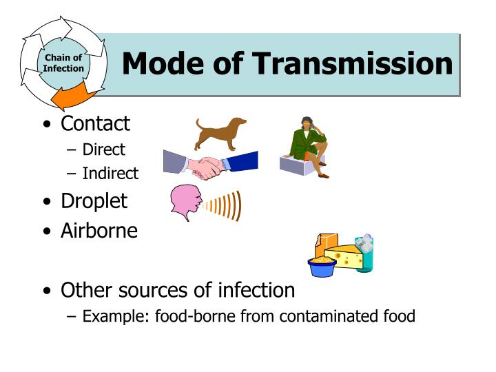 PPT - Targeted Infection Prevention Program Study: The Infectious