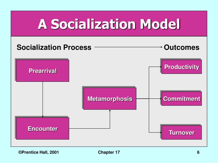 Which Of The Following Is A Feature Of Cultures With Low Performance Orientation? PPT - Organizational Culture PowerPoint Presentation - ID:684365