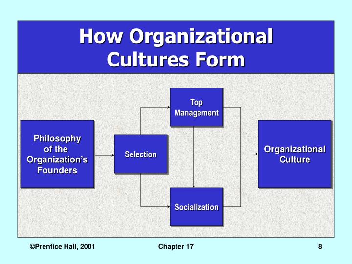 Which Of The Following Is A Feature Of Cultures With Low Performance Orientation? Which Of The Following Is A Feature Of Cultures With Low Performance Orientation?