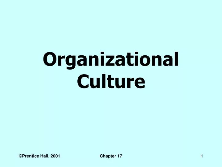 organizational culture n.
