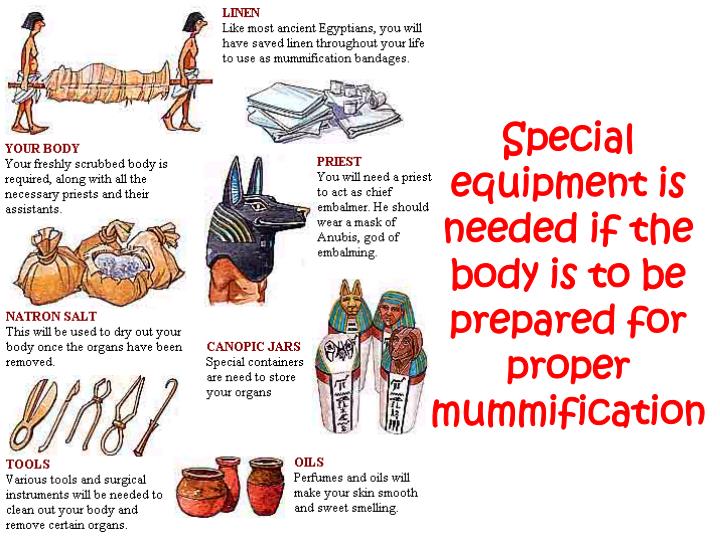 what was the purpose of natron in the mummification process what was the purpose of natron in the mummification process