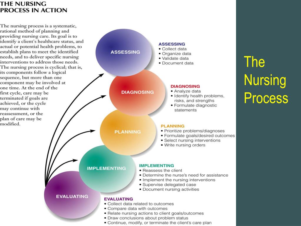 PPT The Nursing Process PowerPoint Presentation, Free Download ID 