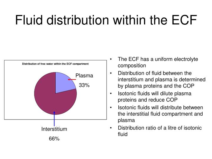 PPT Fluid compartments and IV Fluid therapy PowerPoint Presentation