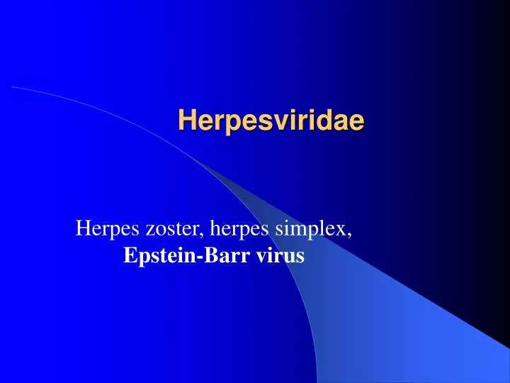 herpesviridae n.