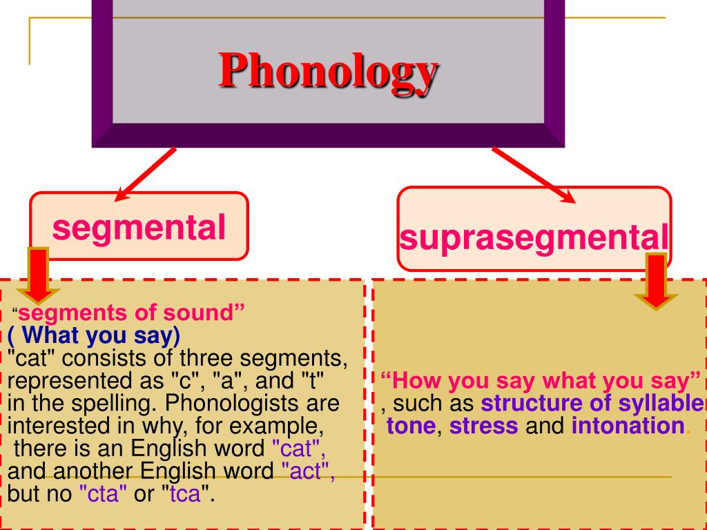 PPT - Phonology PowerPoint Presentation, free download - ID:686112