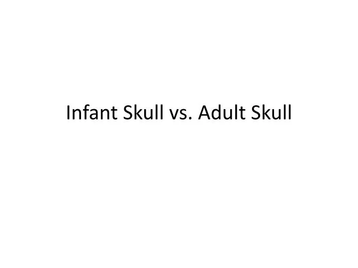 infant skull vs adult skull n.