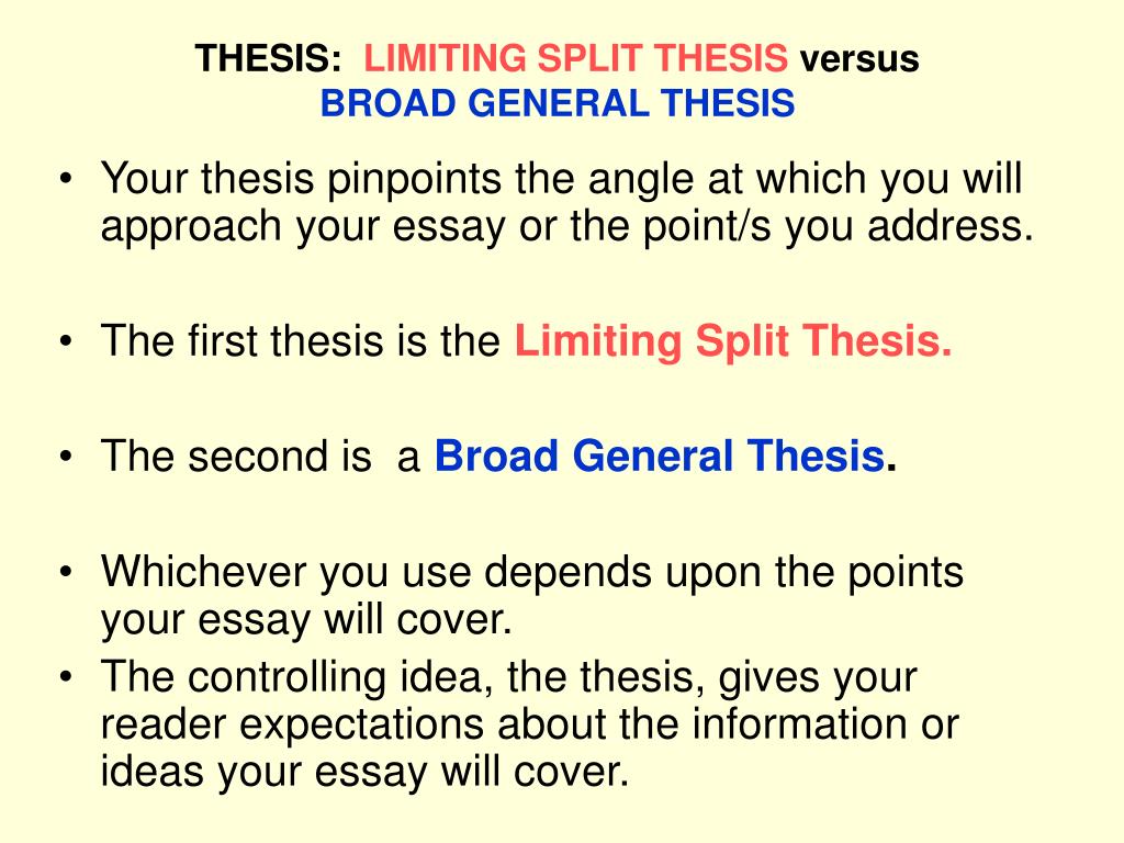 divided thesis definition
