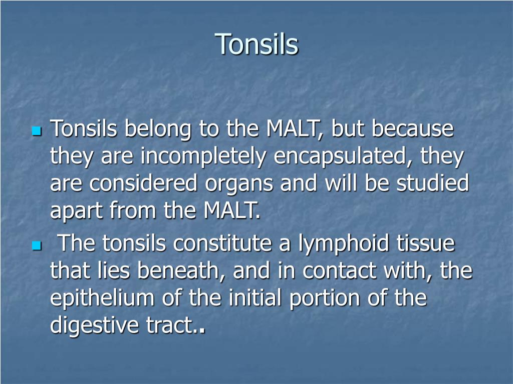 PPT - LYMPHOID NEOPLASMS PowerPoint Presentation, free download - ID:1996451