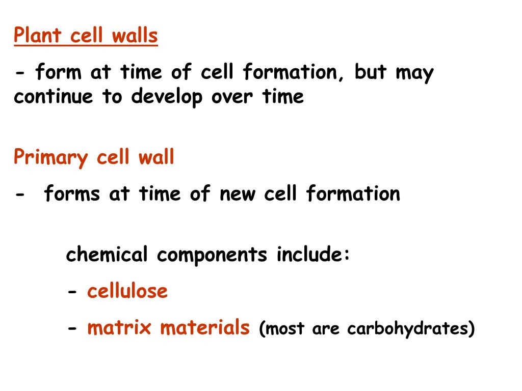 PPT - Plant cell structure plant cells are eukaryotic cells ; and have