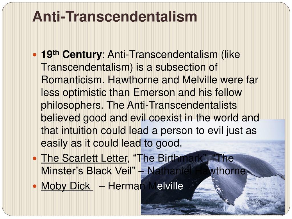 The Hawthorne Anti Transcendentalism Analysis