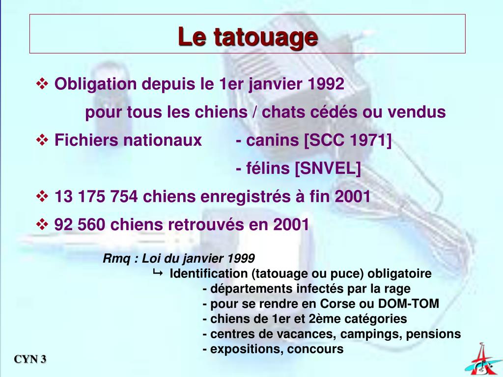lettre pour changement de proprietaire de chien