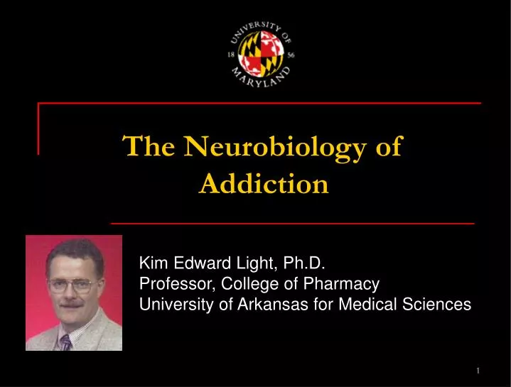 the neurobiology of addiction n.