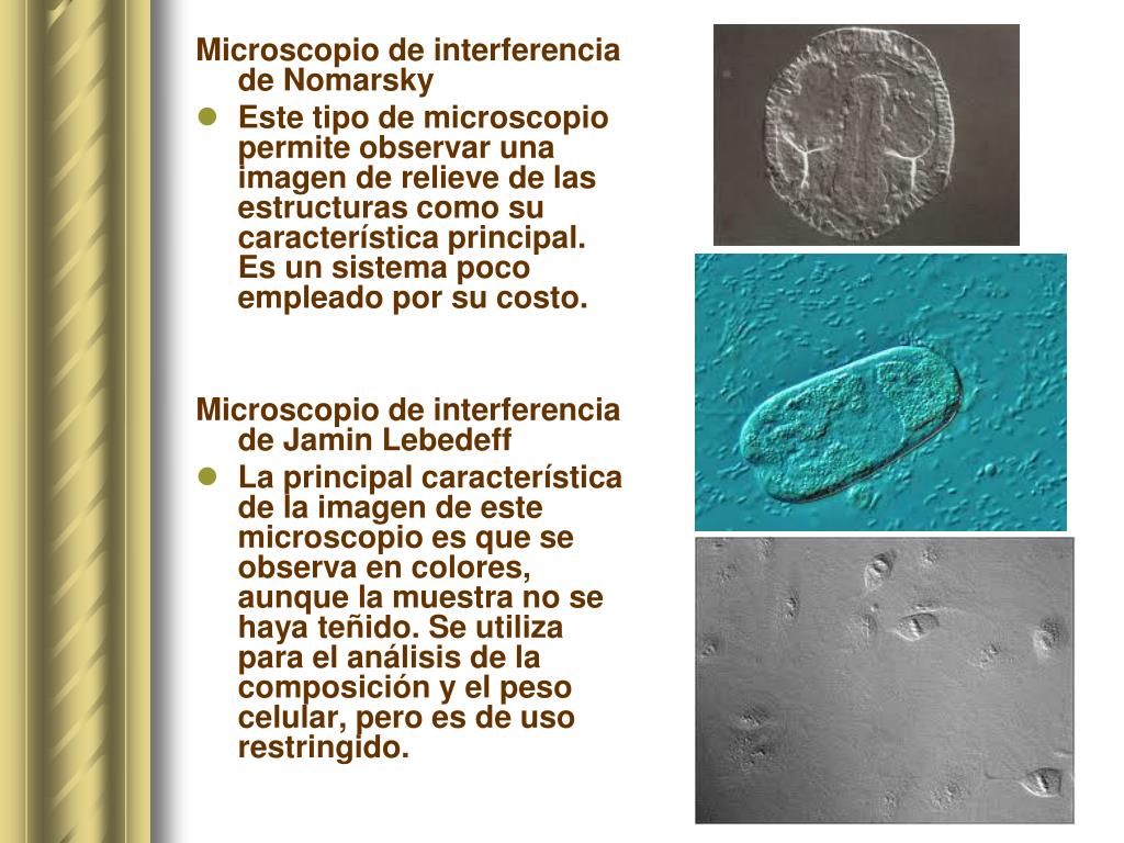 PPT - Avance en tecnología del microscopio PowerPoint Presentation, free  download - ID:696217