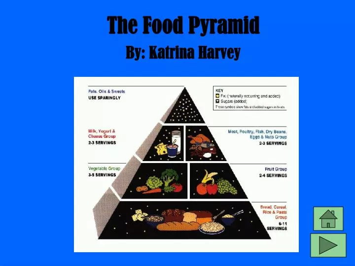 the food pyramid n.