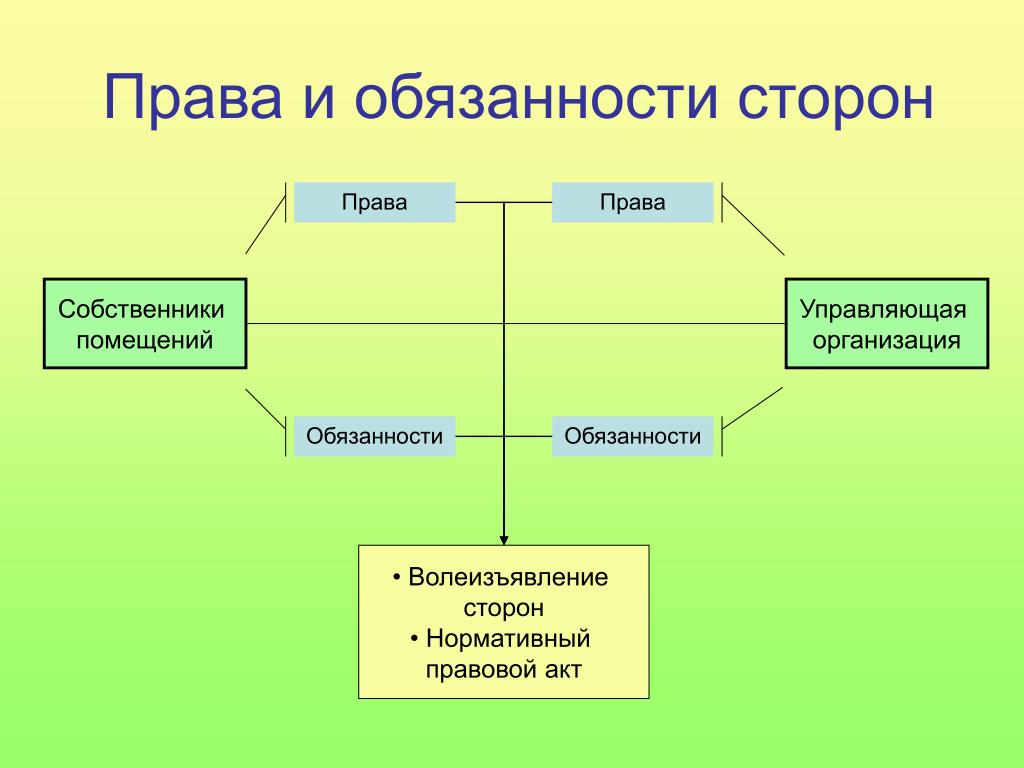 Организация обязана. Права и обязанности предприятия. Права и обязанности управляющий компании. Участие в управление организацией права и обязанности. ООО управление права и обязанности.