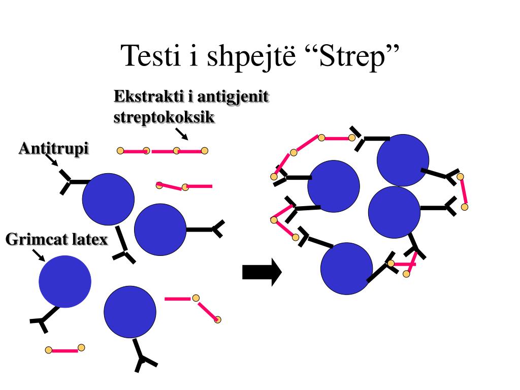Como funciona el test de antigenos