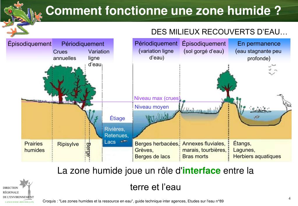 Agriculture Zones Humide At Margie Barker Blog Agriculture Zones Humide At Margie Barker Blog