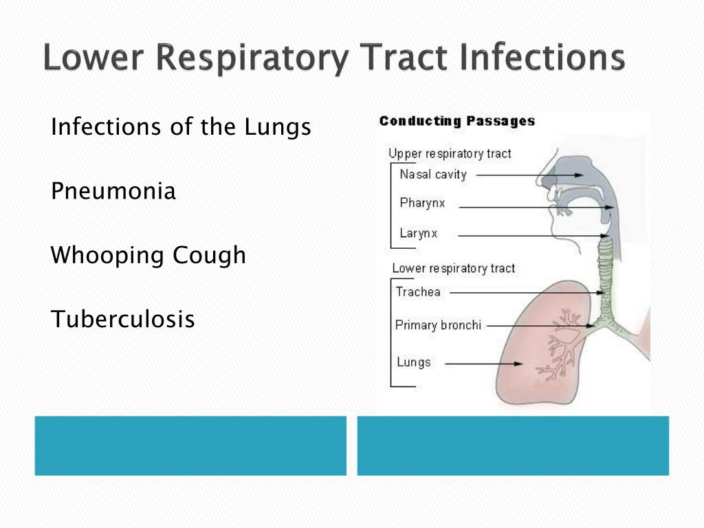 respiratory tract infections essay