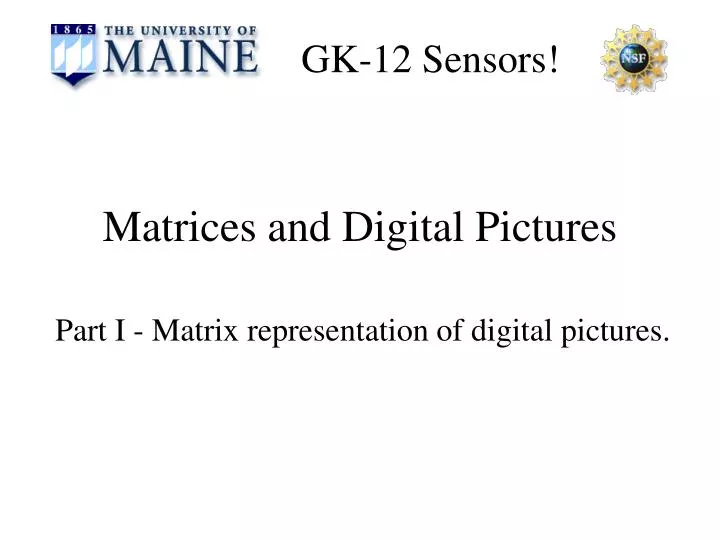 matrices and digital pictures n.
