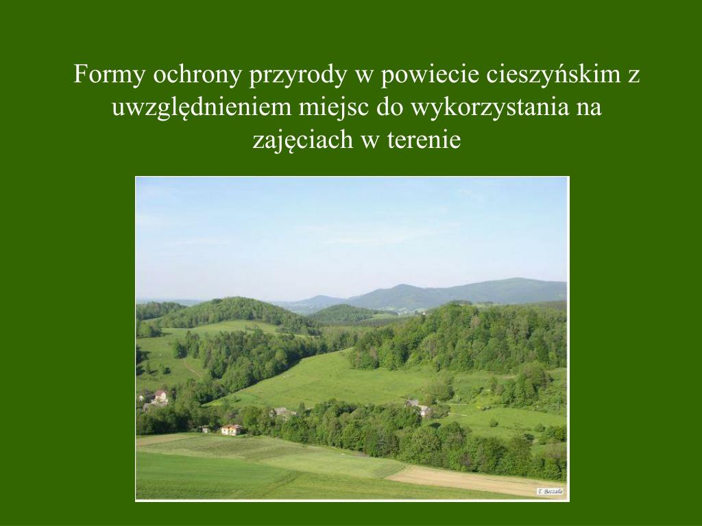 Jedna Z Form Ochrony Przyrody PPT - Formy ochrony przyrody w powiecie cieszyńskim z uwzględnieniem