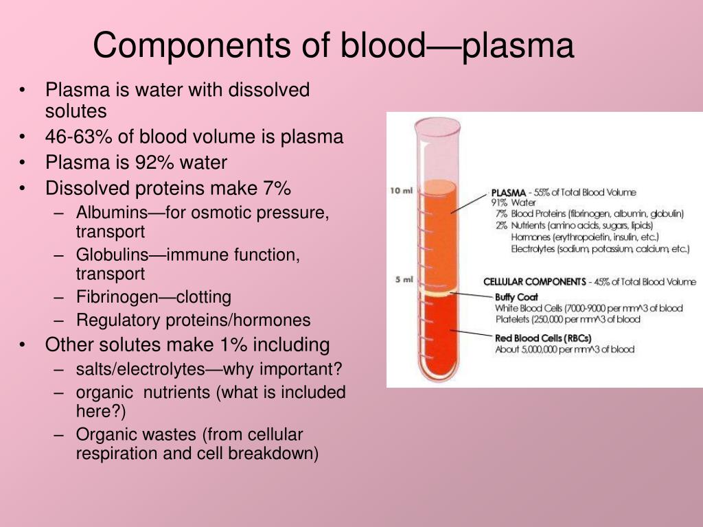 Сыворотка крови положительная. Плазма и сыворотка крови. Сыворотка крови и плазма крови. Blood components. Розовая сыворотка крови.