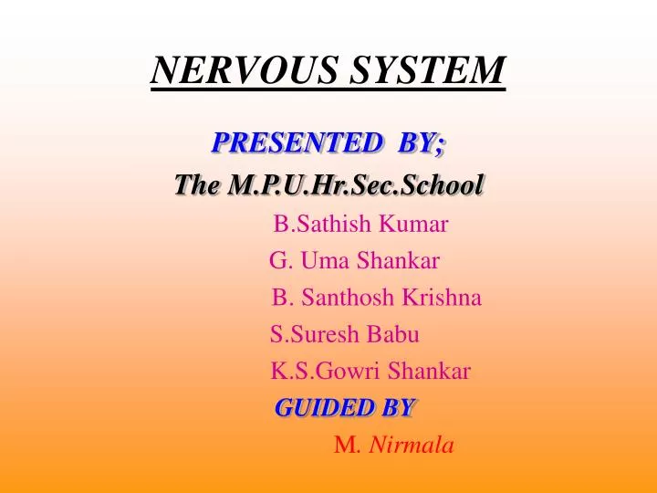 nervous system n.