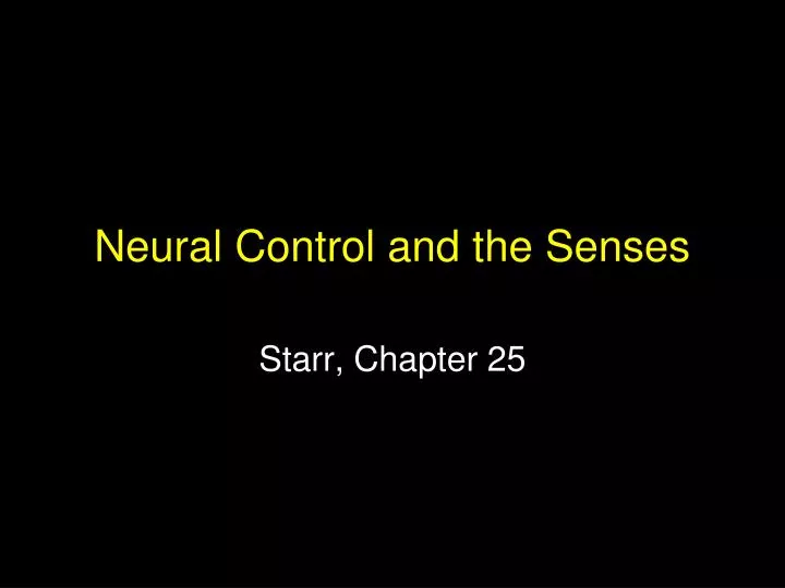 neural control and the senses n.