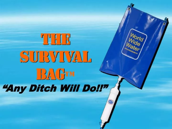 the survival bag n.