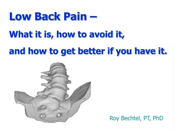 low back pain what it is how to avoid it and how to get better if you have it n.
