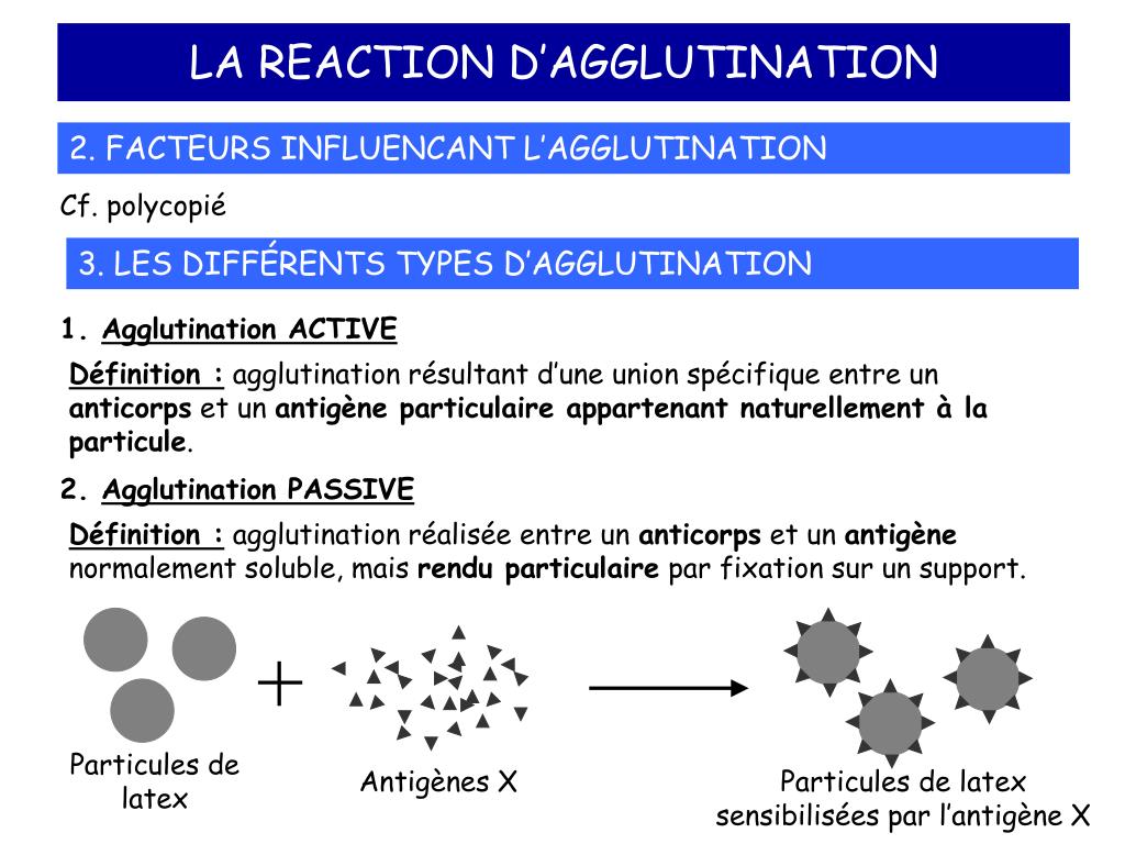 Реакция d n. Agglutination. Co agglutination Reaction. Reaction!. Platelet aggregation.