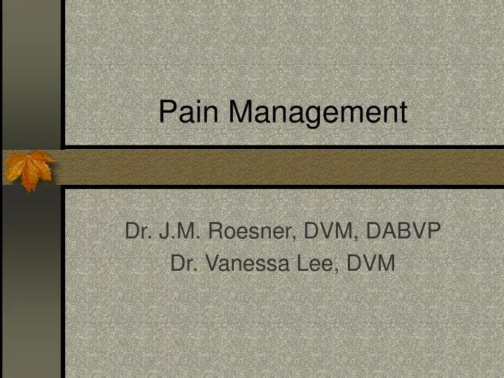 pain management n.