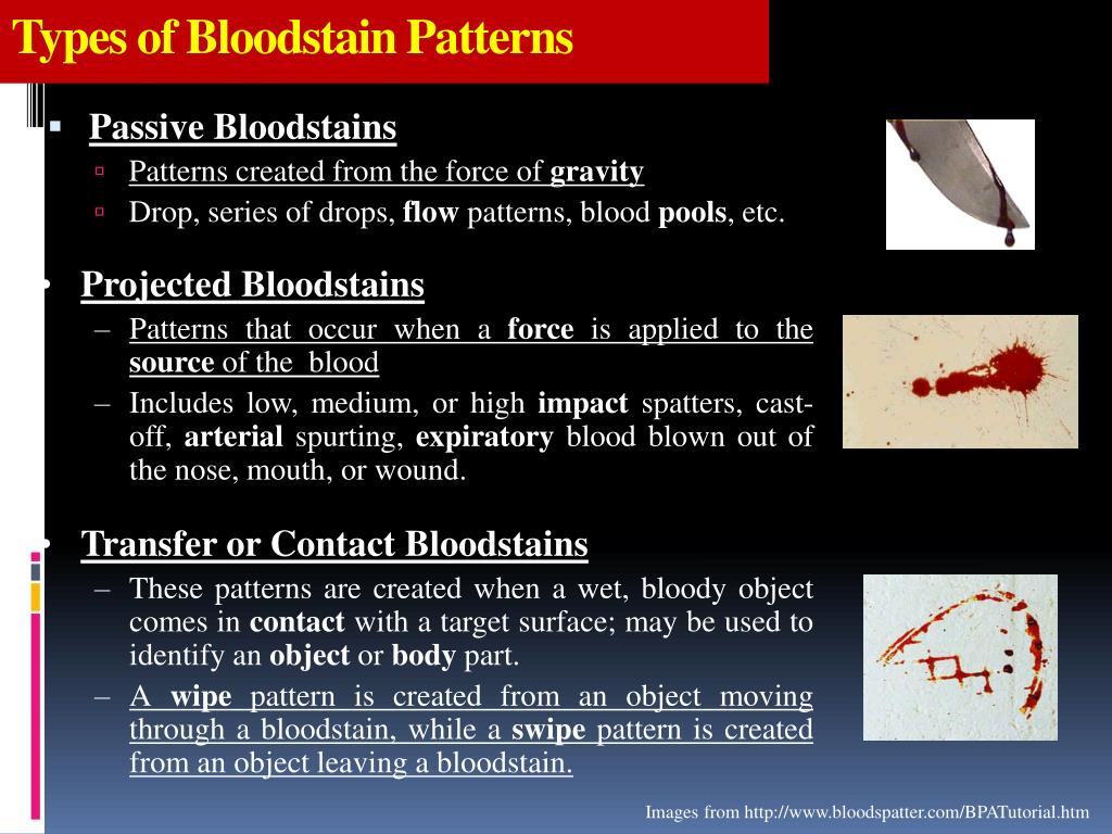 PPT Bloodstains Pattern Analysis PowerPoint Presentation, free
