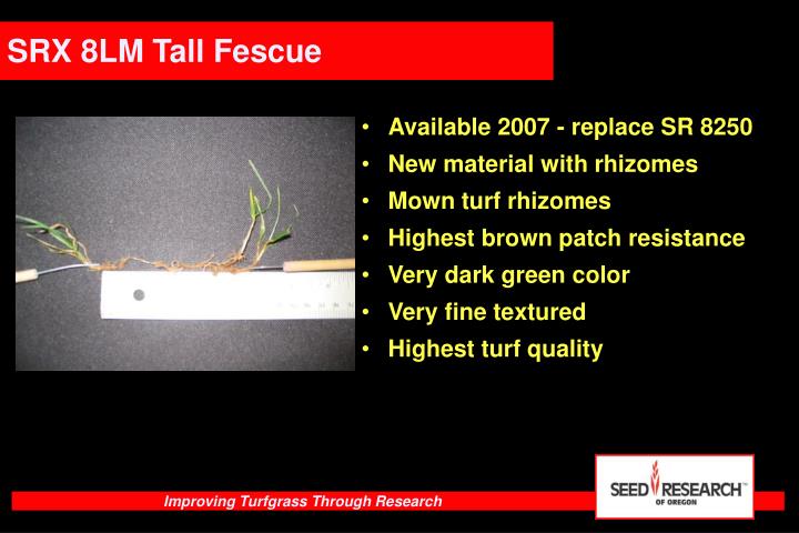 Ppt Seed Research Of Oregon Powerpoint Presentation Free Download Id Ppt Seed Research Of Oregon Powerpoint Presentation Free Download Id