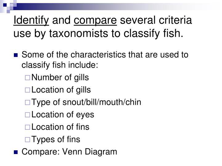 PPT The Fishes PowerPoint Presentation ID711056