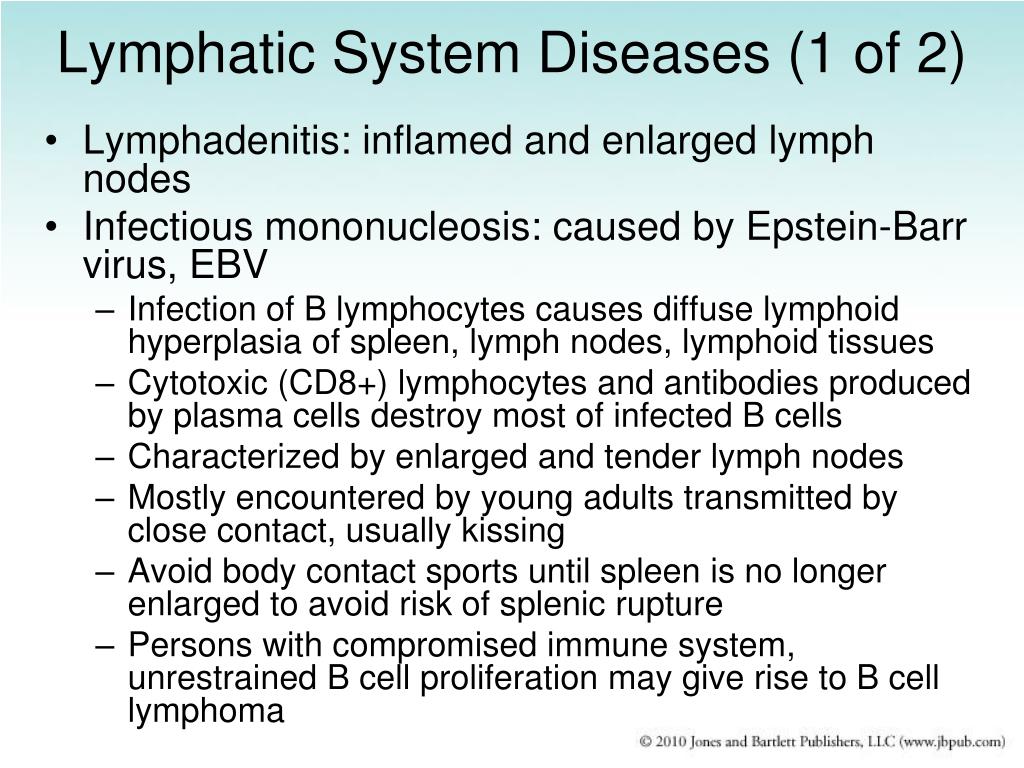PPT - The Hematopoietic and Lymphatic Systems PowerPoint Presentation
